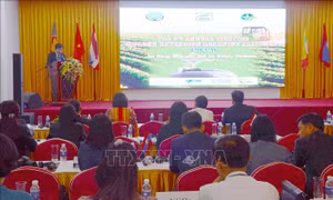 Chia sẻ kinh nghiệm khuyến nông giữa các quốc gia tiểu vùng sông Mê Kông