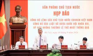 Họp báo công bố Lệnh của Chủ tịch nước về 15 luật