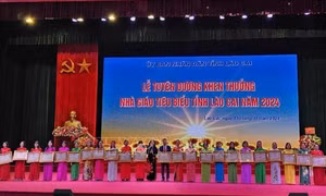 Đổi mới phương pháp dạy học, kiểm tra, đánh giá theo hướng phát triển toàn diện