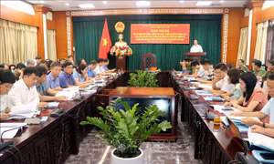 Tăng cường đấu tranh trấn áp, xử lý các loại tội phạm và vi phạm pháp luật
