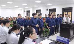 Phạt tù băng nhóm gây ra hàng trăm vụ trộm cắp tài sản ở Tây Nam Bộ