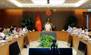 Bảo đảm quy hoạch, kế hoạch sử dụng đất đai vừa tĩnh, vừa động