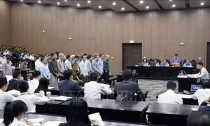 Cựu Thứ trưởng Bộ Nông nghiệp và Phát triển nông thôn bị đề nghị từ 4-5 năm tù