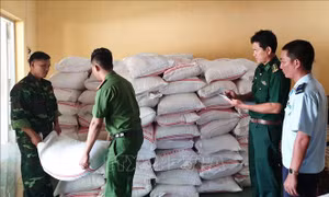 Mật phục, bắt giữ liên tiếp 2 vụ buôn lậu quy mô lớn ở An Giang