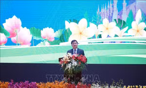 Tình hữu nghị đặc biệt Việt Nam - Lào: Mãi mãi xanh tươi, đời đời bền vững