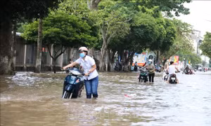 Triều cường lên cao gây ngập nhiều nơi ở Vĩnh Long