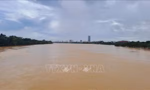 Mực nước trên sông Hương, sông Bồ lên dần đến mức xấp xỉ báo động 3