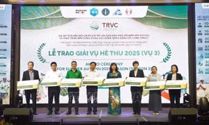 Vinh danh 10 doanh nghiệp tiêu biểu liên kết sản xuất lúa giảm phát thải