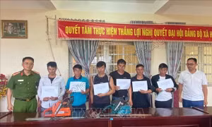 Lai Châu: Tạm giữ hình sự 8 đối tượng trong vụ phá rừng phòng hộ