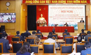 Nghị quyết mới về nông nghiệp, nông dân, nông thôn cần xác định các giải pháp đột phá