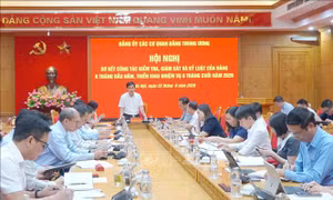 Đẩy mạnh giám sát trên dữ liệu trong công tác kiểm tra của Đảng
