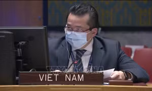Việt Nam ủng hộ chống phổ biến vũ khí hủy diệt hàng loạt