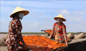 'Thủ phủ' nghề làm hải sản khô Gành Hào vào mùa Tết