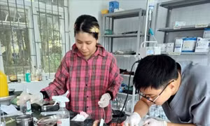 Quảng Trị cứu hộ 6 cá thể động vật hoang dã quý hiếm