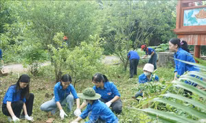 Nhiều hoạt động ý nghĩa của tuổi trẻ Bắc Ninh trong 'Mùa hè xanh'