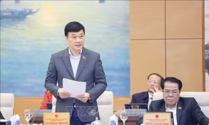 Thực hiện chính sách, pháp luật về công tác quy hoạch
