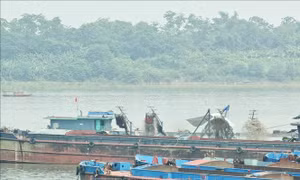 Phú Thọ đề nghị Hà Nội kiểm tra, xử lý hoạt động khai thác cát, sỏi trái phép tại khu vực giáp ranh