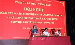 Thiếu thể chế liên kết vùng trong phát triển kinh tế - xã hội vùng Đông Nam Bộ