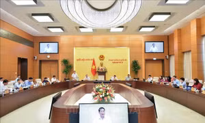UBTV Quốc hội cho ý kiến về báo cáo quyết toán ngân sách nhà nước năm 2021