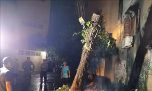 Hà Nội: Trường học xuyên đêm khắc phục hậu quả bão số 3