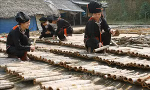 Gia tăng giá trị và thương hiệu cho các sản phẩm OCOP