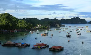 Hải Phòng kết nối các tỉnh, thành phố để phát triển tuyến, điểm du lịch an toàn
