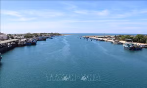 Cảnh sắc thiên nhiên tuyệt đẹp ở Đầm Nại 