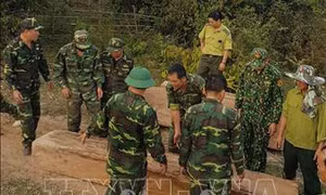 Thu giữ nhiều khối gỗ bị khai thác trái phép