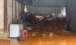 Bão số 5: 55 người thương vong và mất tích​; mưa lớn gây ngập, thiệt hại 92.226 ha lúa