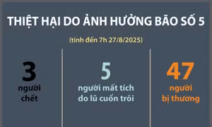 Thiệt hại do ảnh hưởng bão số 5