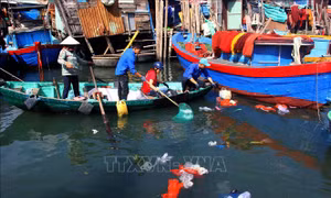 Tuổi Trẻ Bình Định ra quân Chiến dịch làm sạch biển 'Tử tế với Đại dương'
