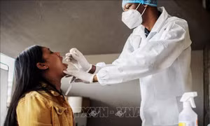 Biến thể SARS-CoV-2 tại Nam Phi nguy hiểm hơn ở Anh, có thể vô hiệu hóa vaccine