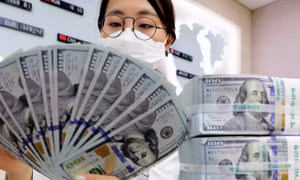 Tỷ giá trung tâm sáng 5/9 tăng 8 đồng
