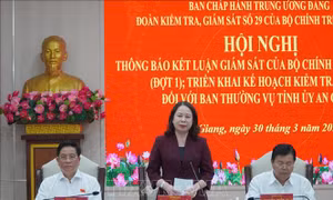 Phó Chủ tịch nước yêu cầu công tác kiểm tra khẩn trương và thực chất​