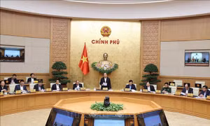 Nghị quyết phiên họp Chính phủ thường kỳ tháng 11/2020