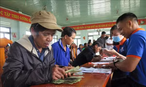 Thực hiện đóng cửa rừng tự nhiên - Bài cuối: Giải quyết sinh kế của người dân sống gần rừng