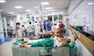 Tây Ninh: Nhiều người bị thương nặng sau tiếng nổ lớn