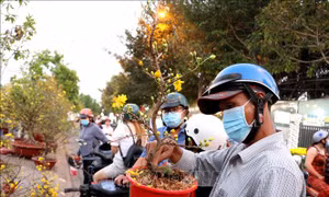 Nhộn nhịp chợ Tết ở Vĩnh Long ngày cuối năm
