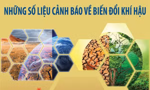 Những số liệu cảnh báo về biến đổi khí hậu