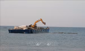 Huế khắc phục tình trạng hơn 20 km bờ biển bị xâm thực, xói lở
