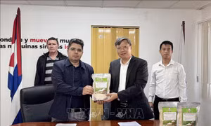 Việt Nam hỗ trợ Cuba đảm bảo an ninh lương thực