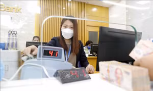 Án tín dụng kéo dài dẫn đến nhiều vướng mắc về tài sản bảo đảm 