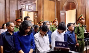 Tuyên án phúc thẩm vụ án tại Ngân hàng Đại Tín - giai đoạn 2