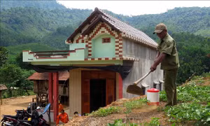 Mô-Níc chuyển mình giữa đại ngàn