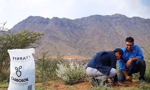 Công nghệ cải tạo đất mở ra triển vọng phục hồi hệ sinh thái sa mạc tại Saudi Arabia