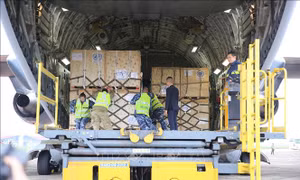 Hợp tác Việt Nam - Australia trong nhiệm vụ gìn giữ hòa bình tại Nam Sudan