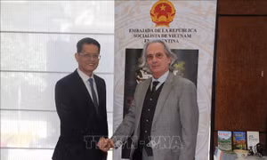 Những bước tiến vượt bậc trong quan hệ Việt Nam - Argentina