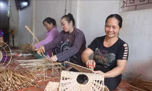Phụ nữ Đồng bằng sông Cửu Long khởi nghiệp thích ứng biến đổi khí hậu - Bài cuối: Đồng hành cùng phụ nữ