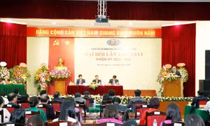 Phát huy tốt vai trò đầu mối tham mưu chiến lược về đối ngoại của Đảng, Nhà nước