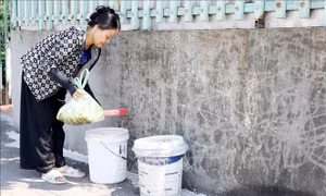Giảm rác, giảm chi phí từ phân loại rác tại nguồn